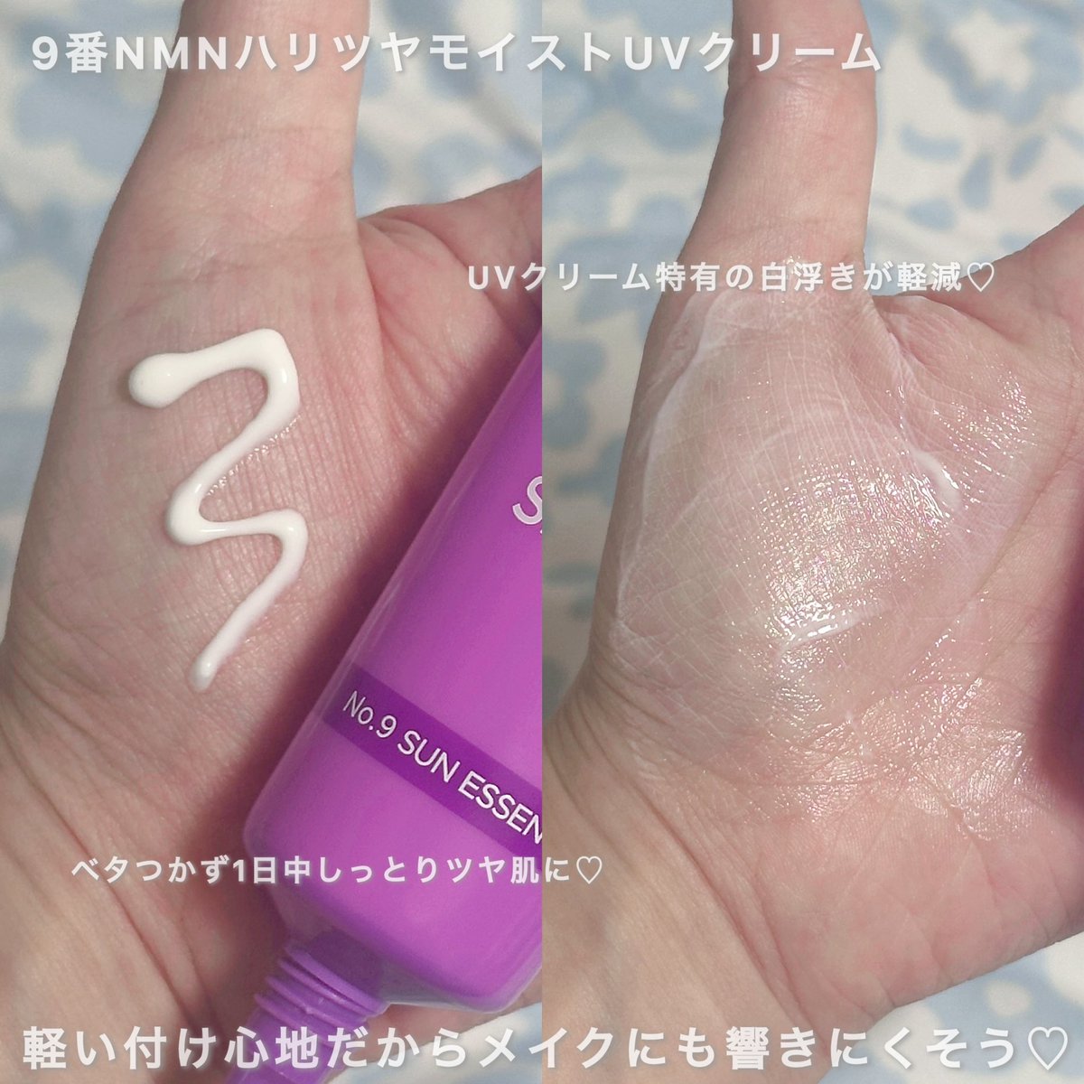 はちわれ🐈 tweet media