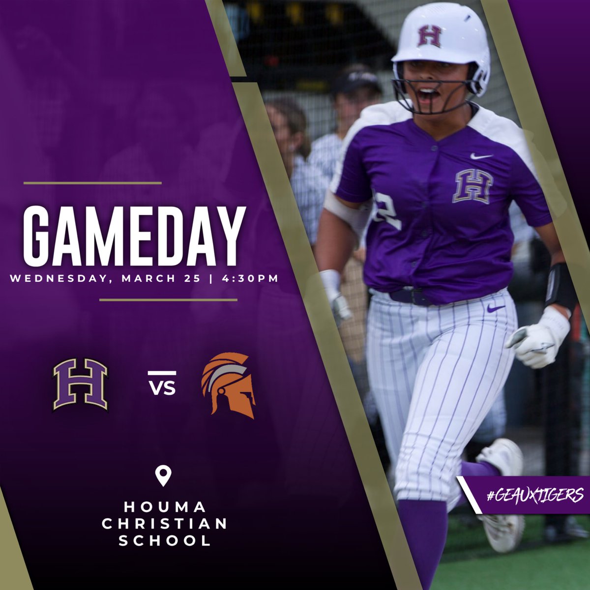 Hahnville High Softball tweet media