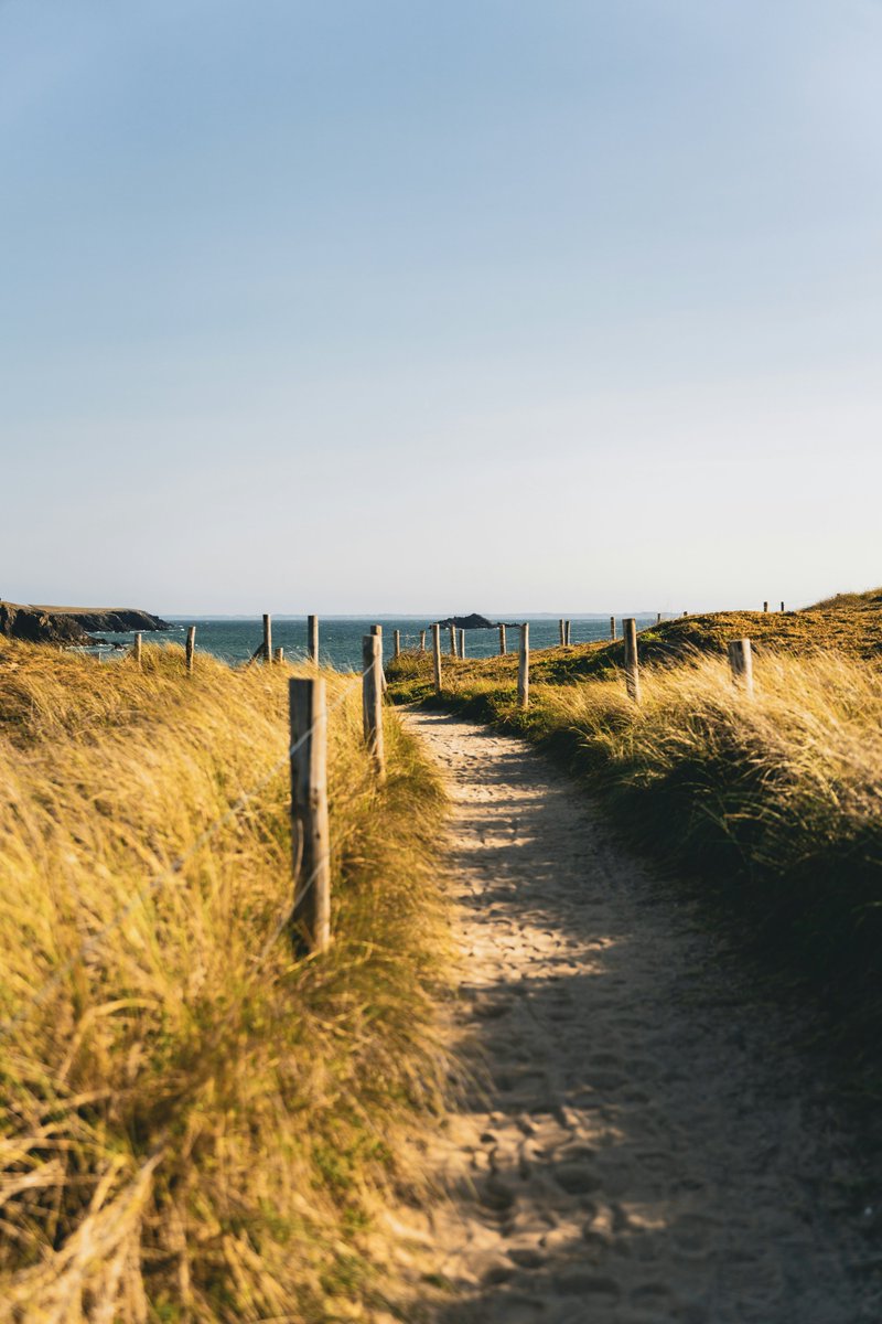 Diana Laskaris tweet media