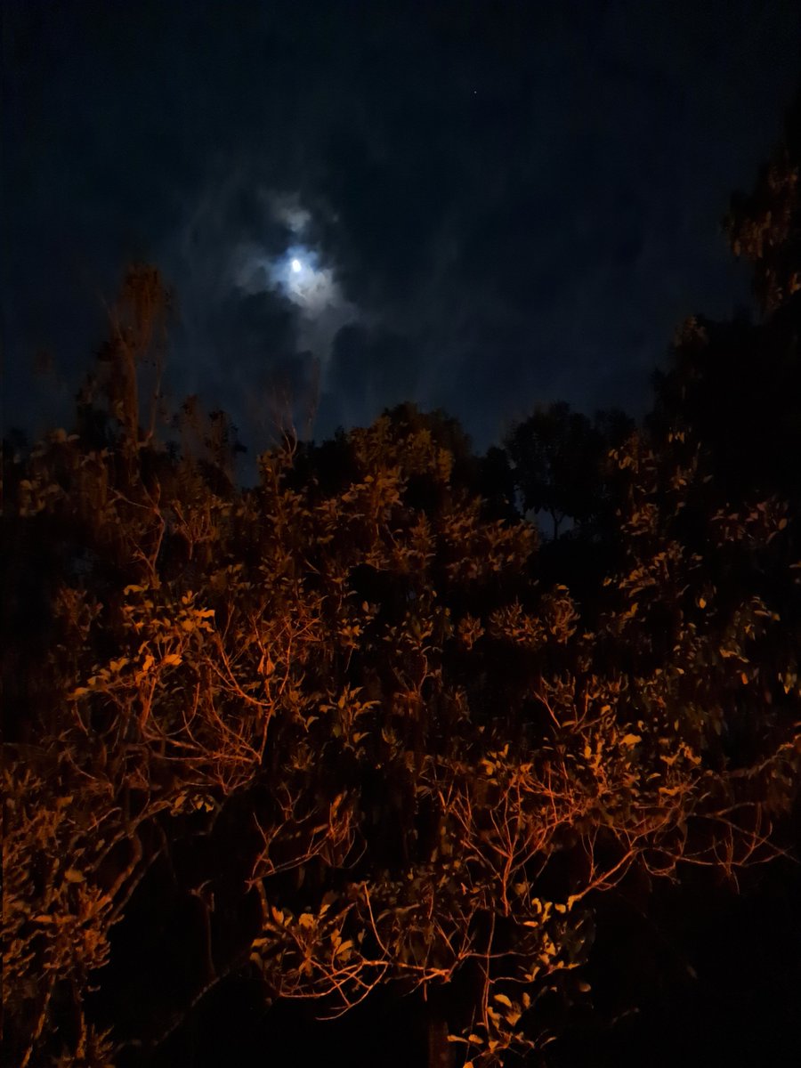 Marwella Zhang 🚀🎨 📸 🏎 tweet media