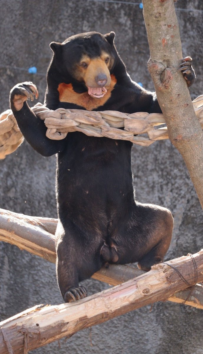 ♡ERI♡ tweet media