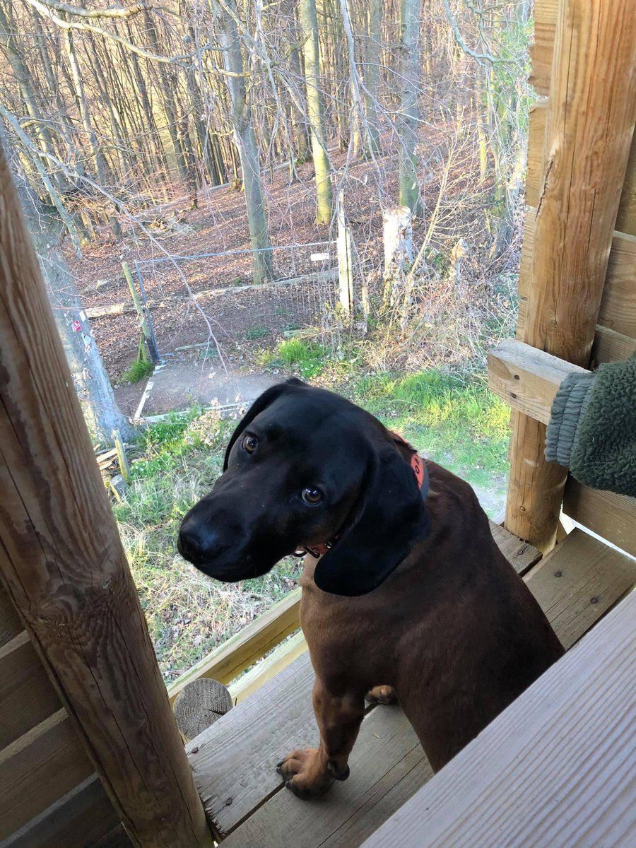 Dražen Jamić 🇭🇷 tweet media