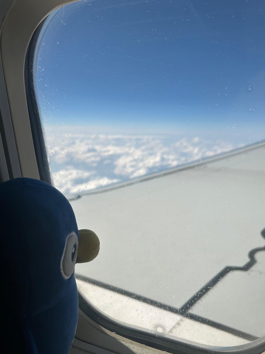 Stellisons's tweet photo. Indie's on holiday again - can you guess where he's gone this time...? @euronics_UK #indiehols https://t.co/uiDxetxzcR