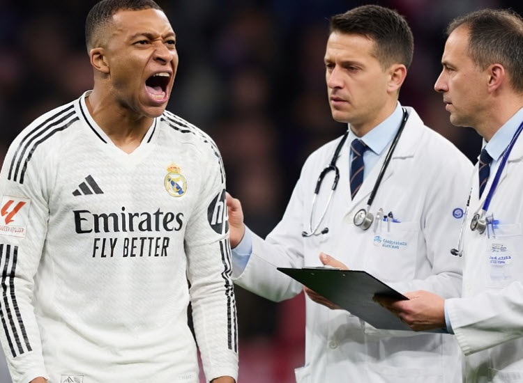 shveteshh tweet media