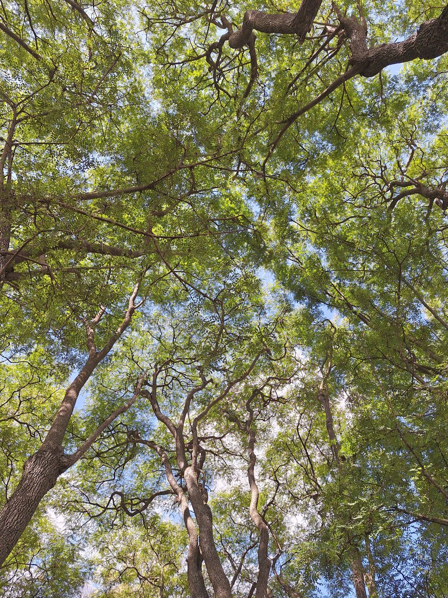 AňԀяєa し.❥ ∞ tweet media