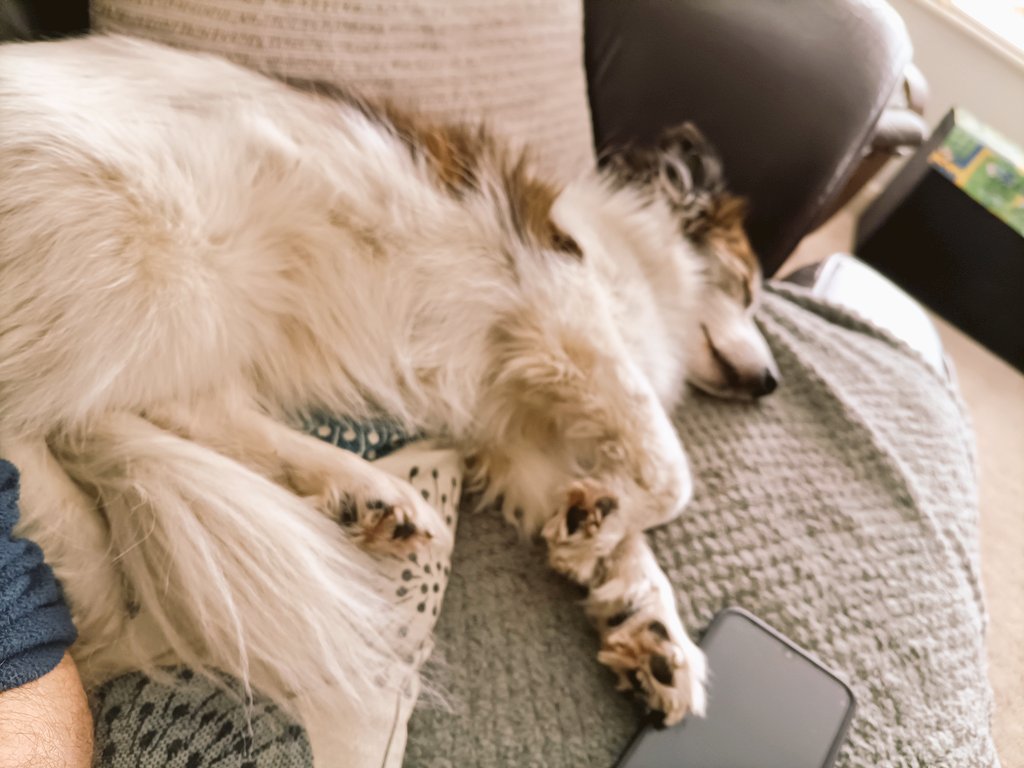 WFH today as MS Teams sessions wall to wall. And poorly child.

The volume of snoring out of this idle fuck, is ungodly.
