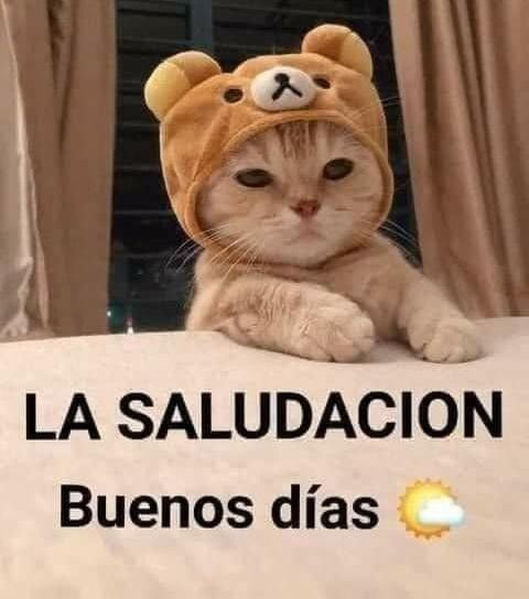 Ricardo Castro tweet media