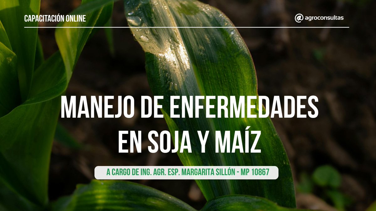 agroconsultasonline tweet media