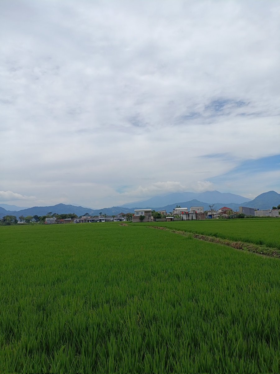 윈 𝒪𝒹𝑒 𝓉𝑜 𝐿𝑜𝓋𝑒 🩵໒꒱ tweet media