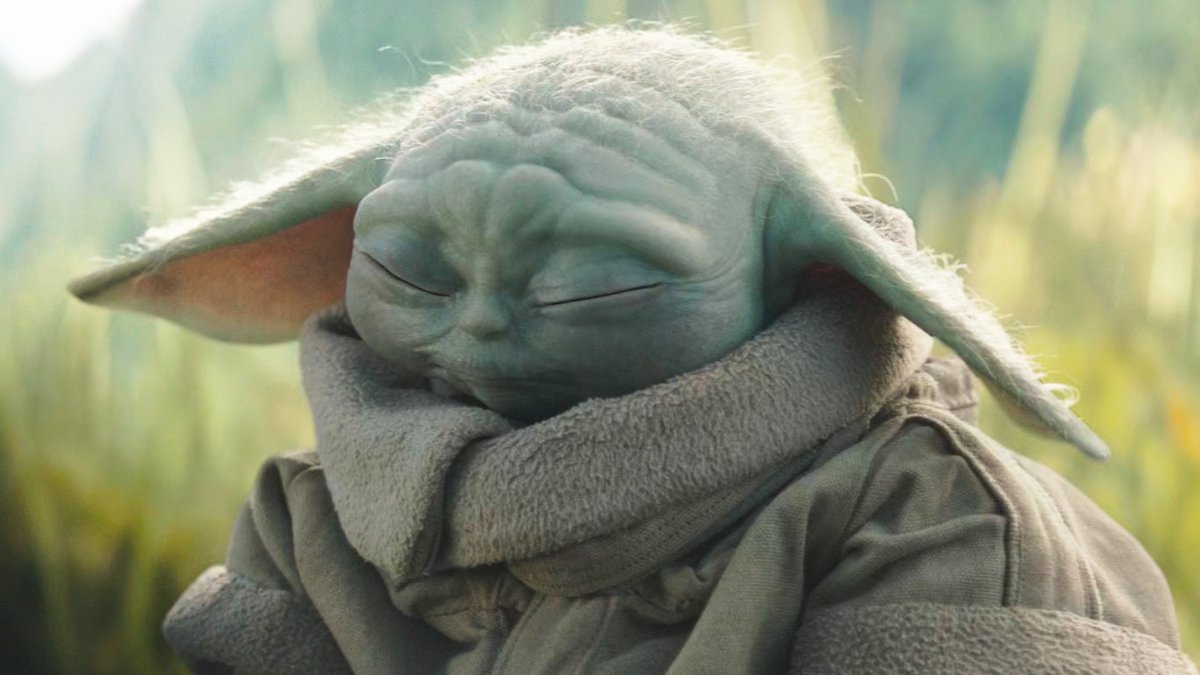 놈친미 tweet media