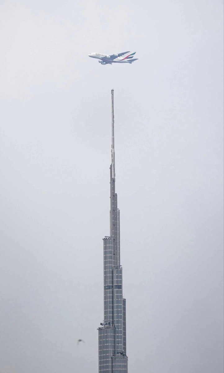 دانة الدنيا 🤍