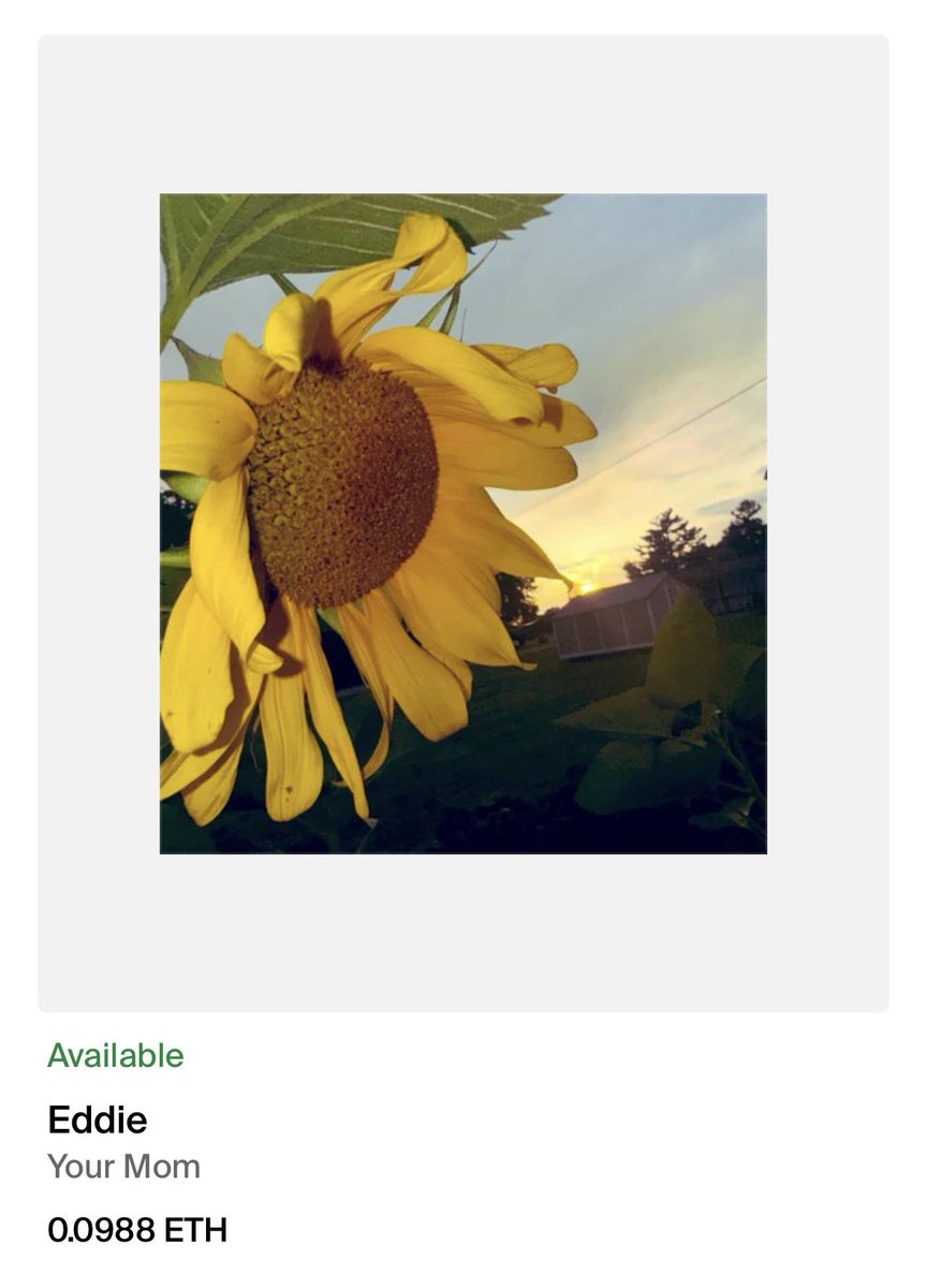 ᴇᴅᴅɪᴇ 🌻 tweet media