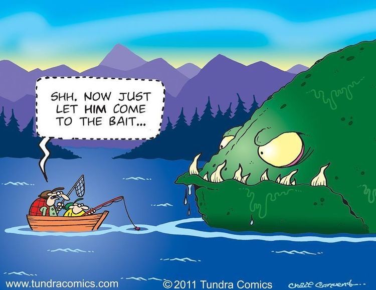 Rodeshow tweet media