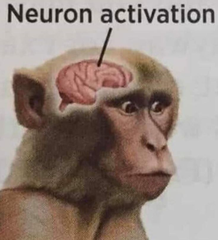 Fefe🗡️ tweet media