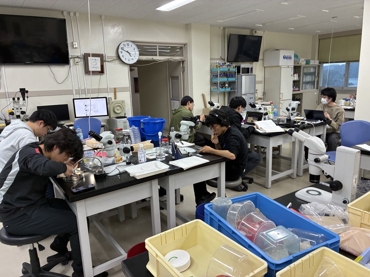 名古屋大学菅島臨海実験所 NU-MBL tweet media