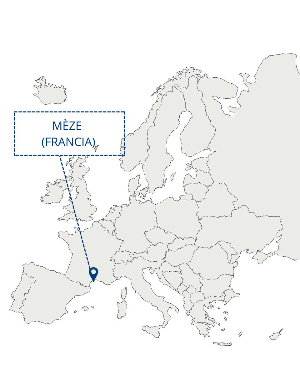 CUALIMETAL tweet media