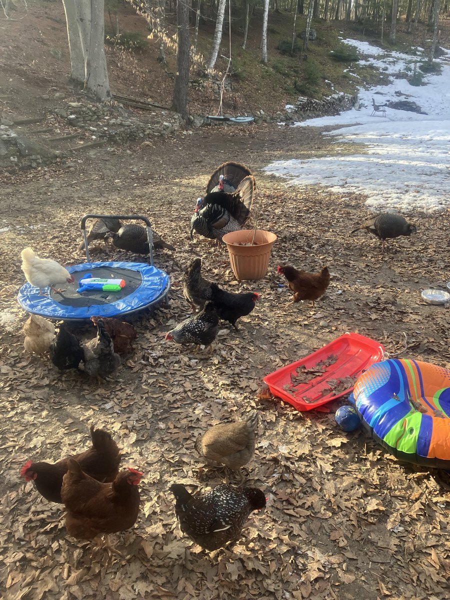 Kc iMagination tweet media