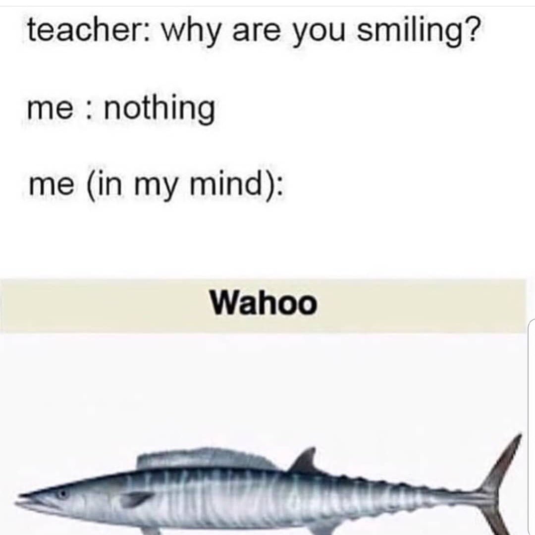 Printer Gnome tweet media