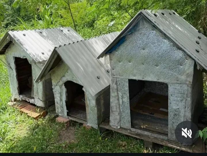 Enfermeiro do Orelha tweet media