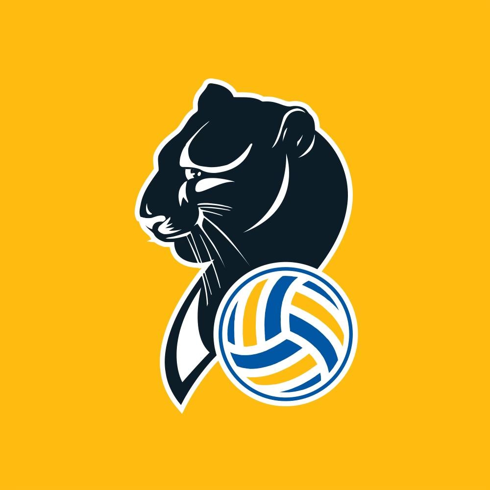 Vsever 2.0 🏐 tweet media