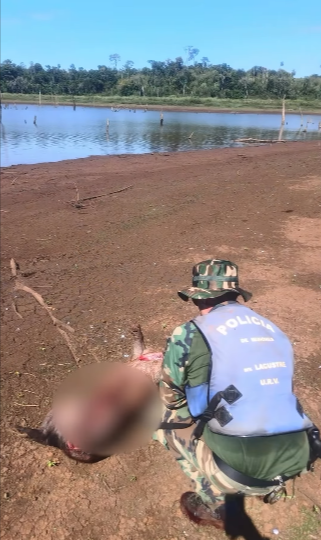 Programa JNR Misiones tweet media