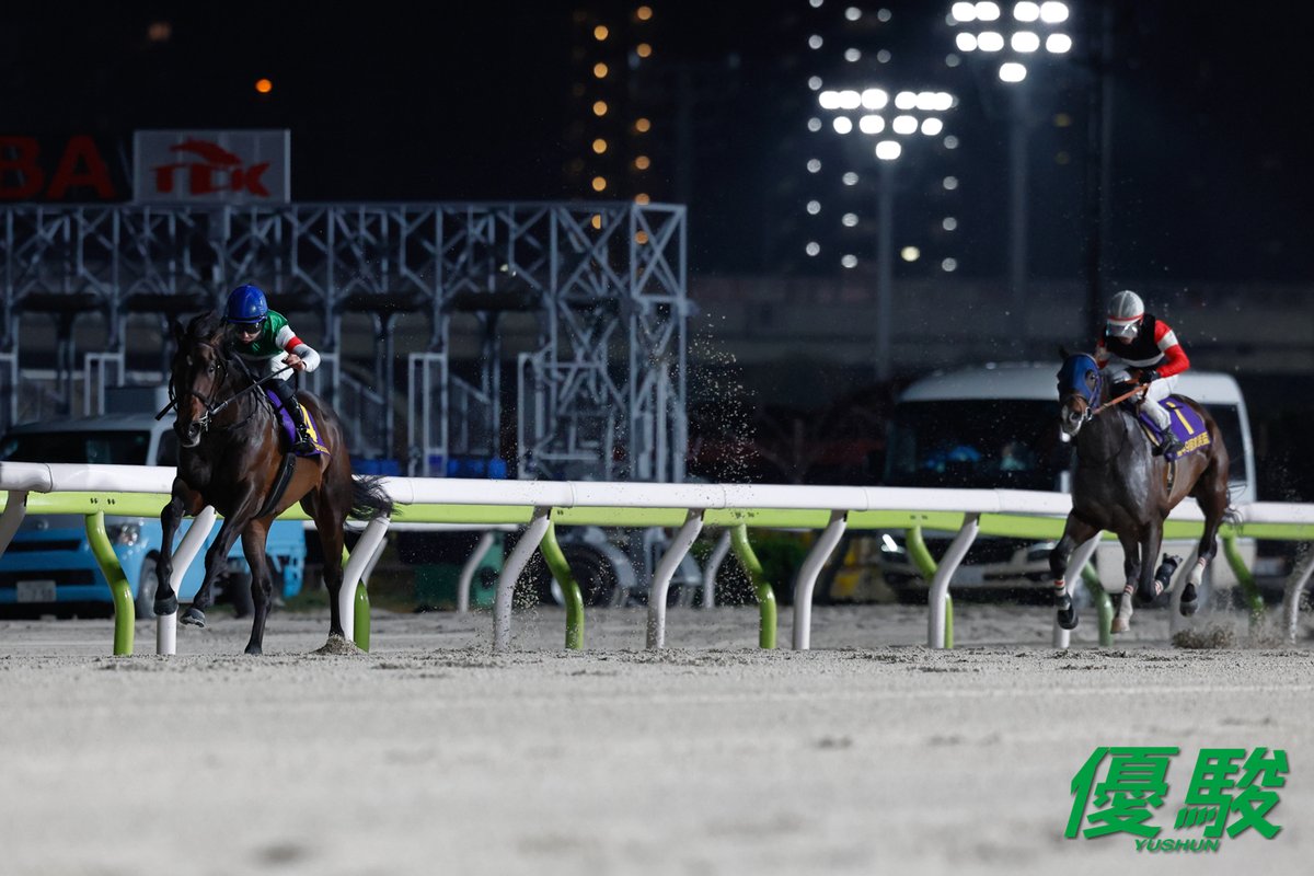 『優駿』編集部 tweet media