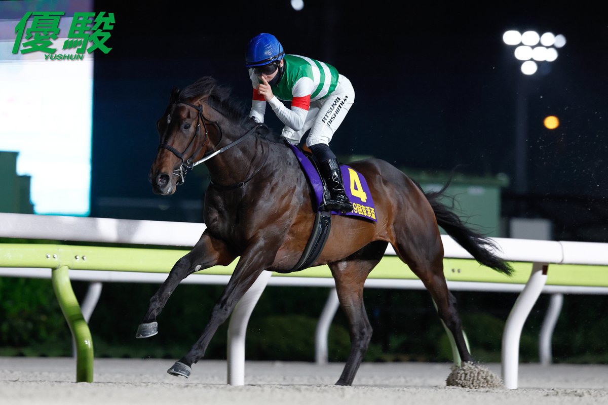 『優駿』編集部 tweet media