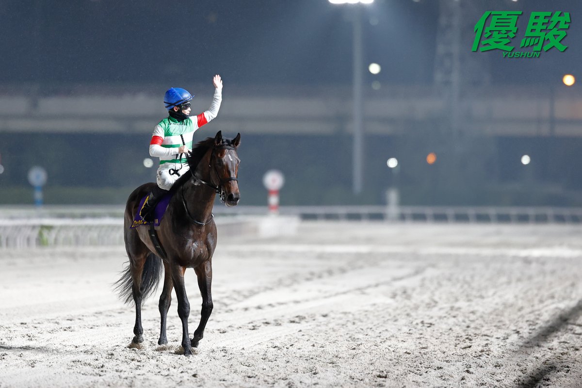 『優駿』編集部 tweet media