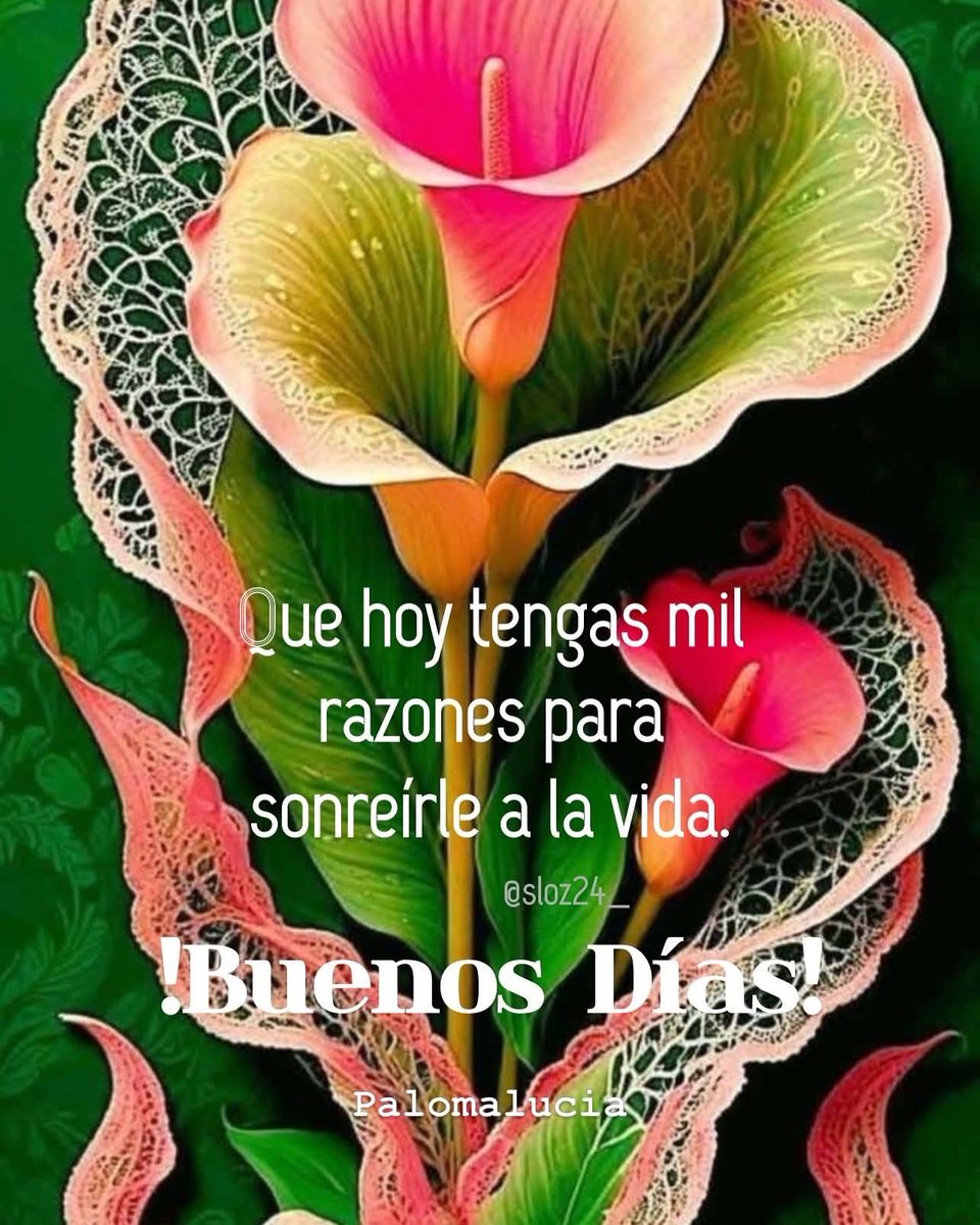 Nelson Cure tweet media