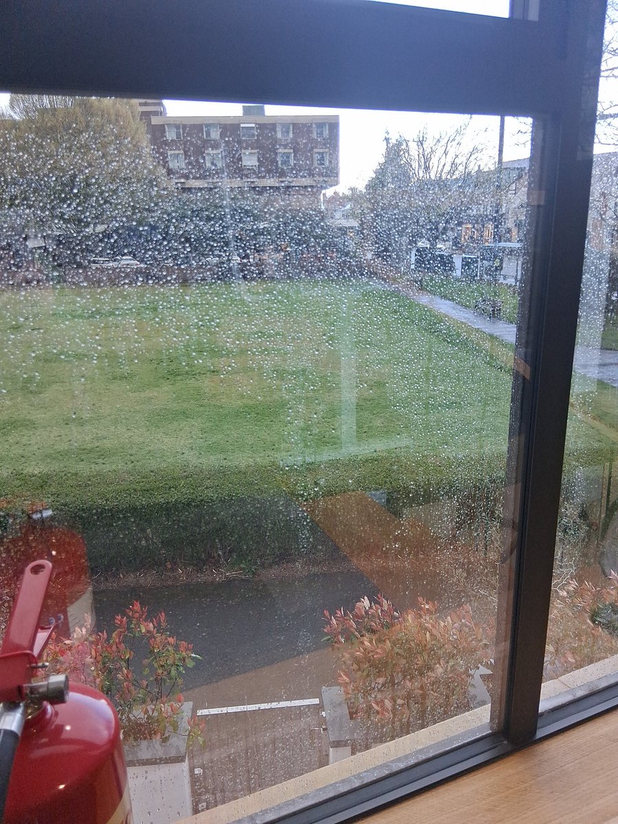 Mel (=^ェ^=) tweet media