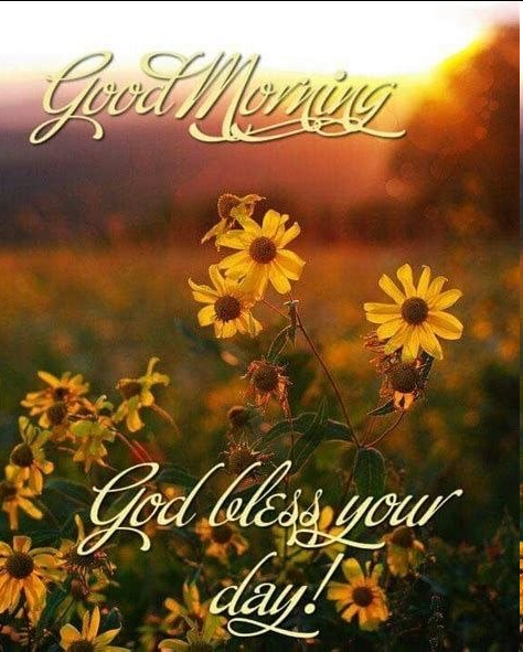 Jan Markell tweet media