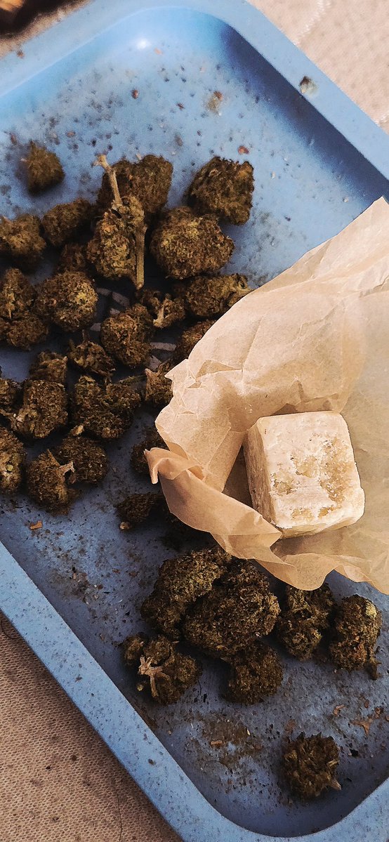 ☢ zodd ☂nosferatu☣︎ tweet media