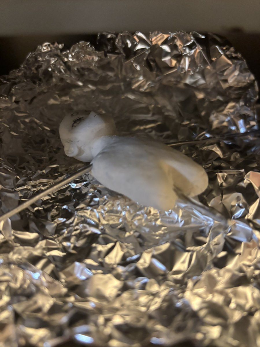 めじき tweet media