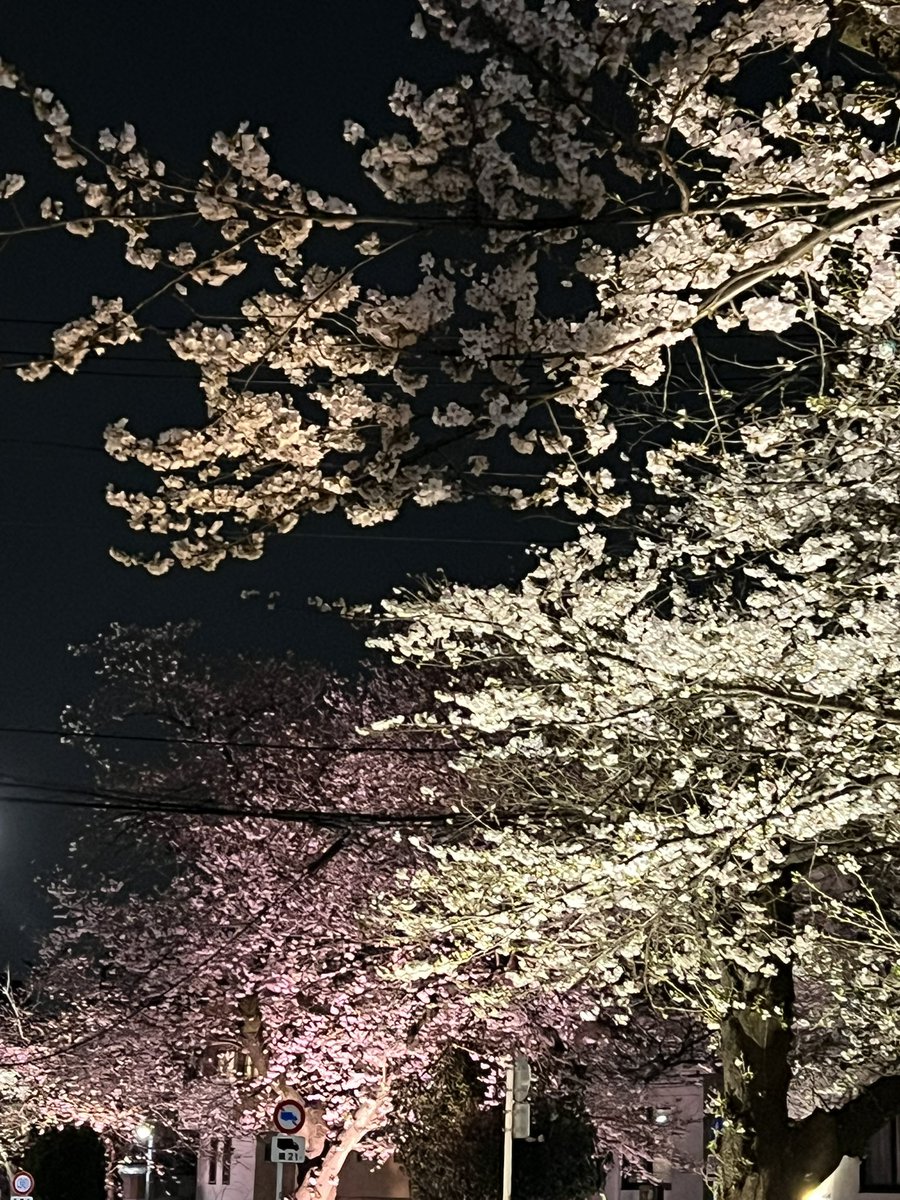 TATE²⁸ tweet media