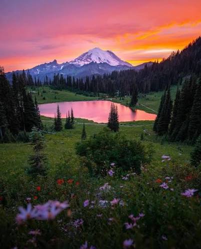 Howie Benefiel tweet media