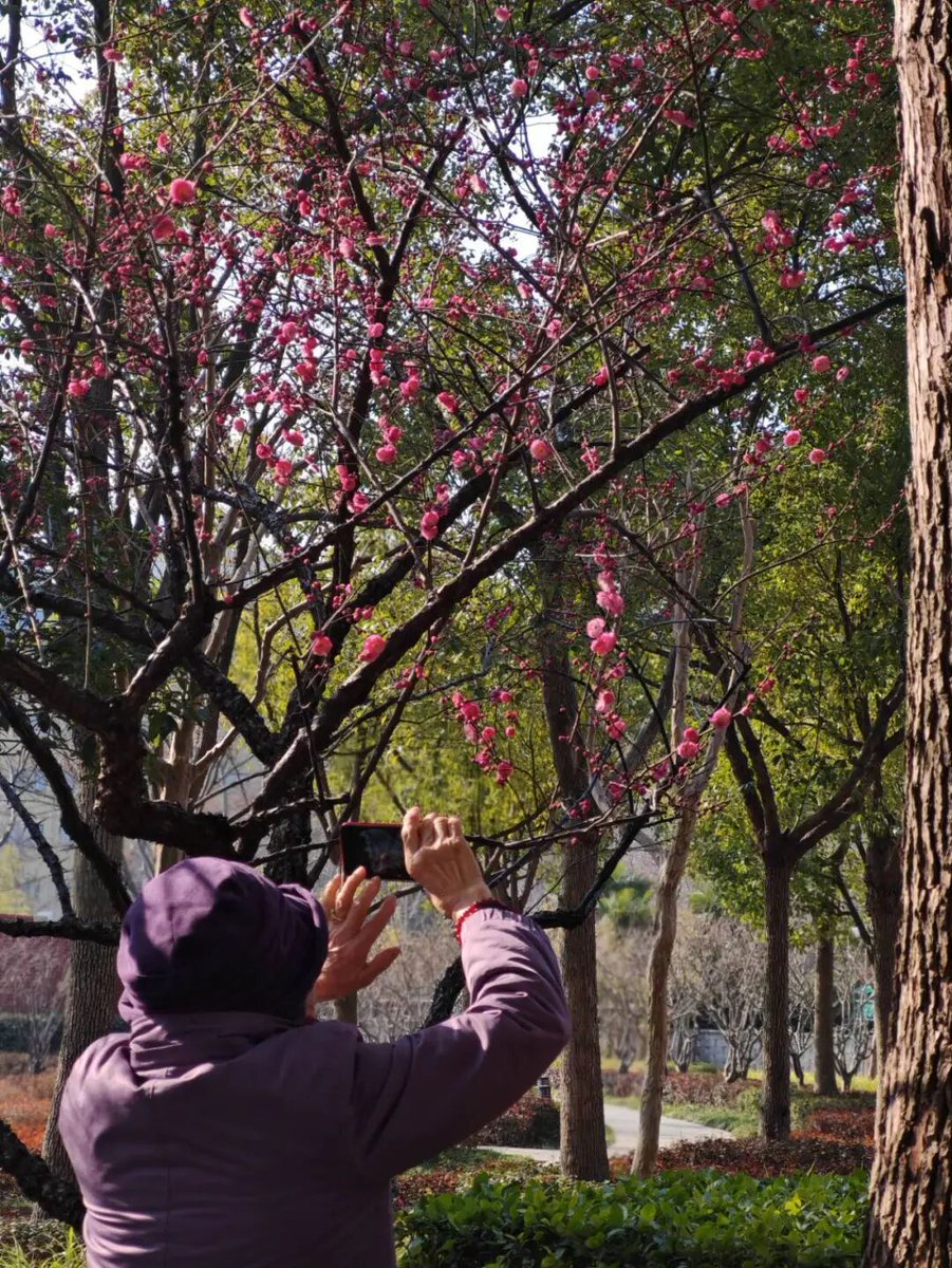 Kristiana tweet media