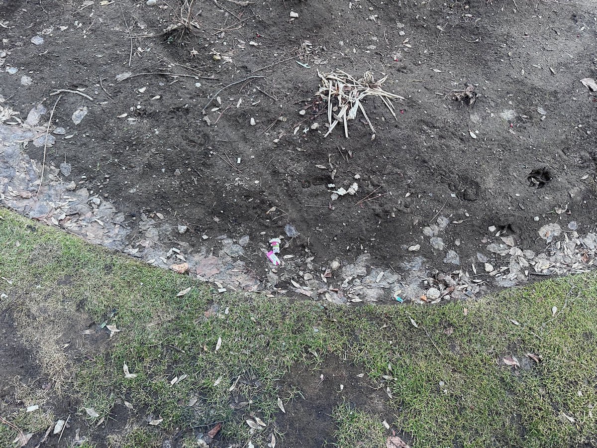 / luhvxal /୨୧ tweet media