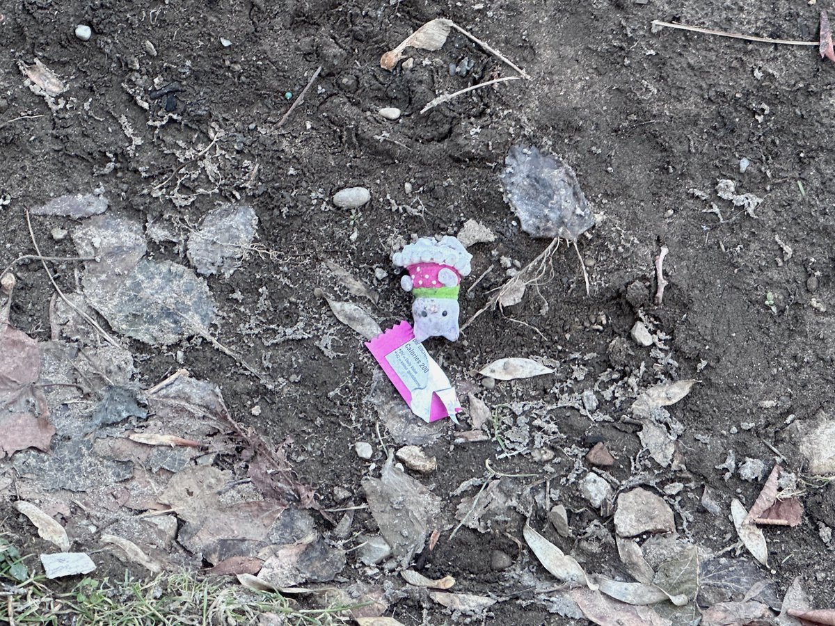 / luhvxal /୨୧ tweet media