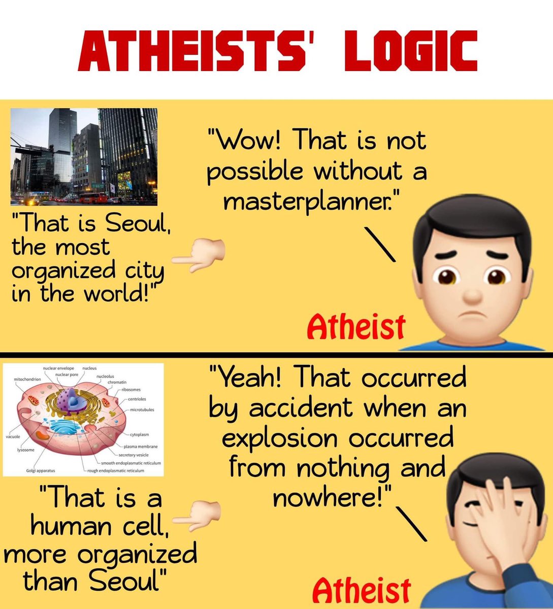 Not Evolution tweet media