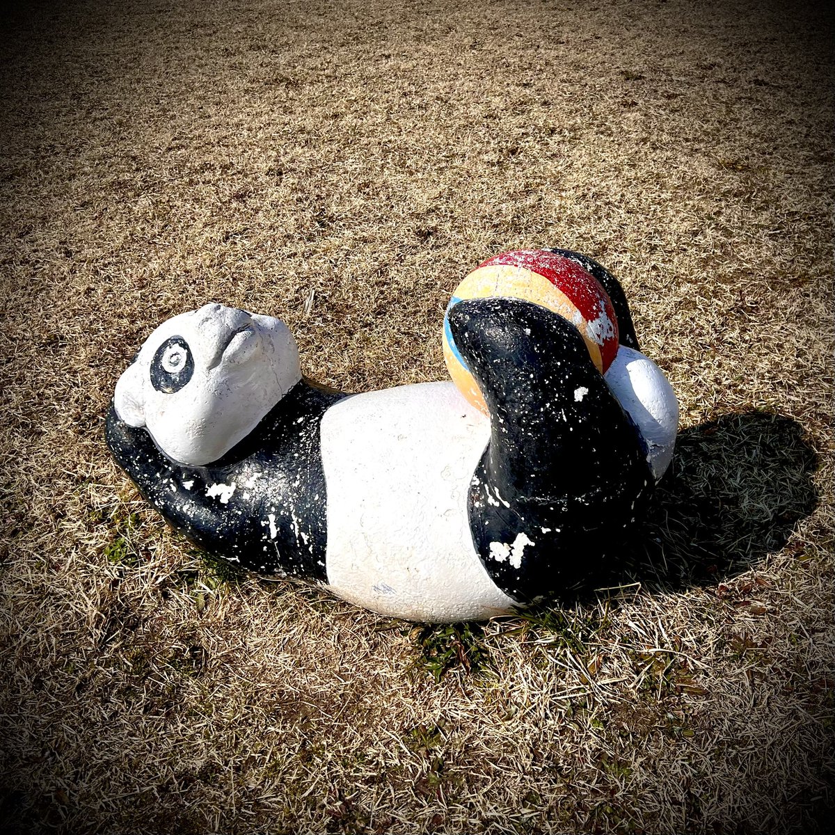 肋骨響子(TAKE) tweet media