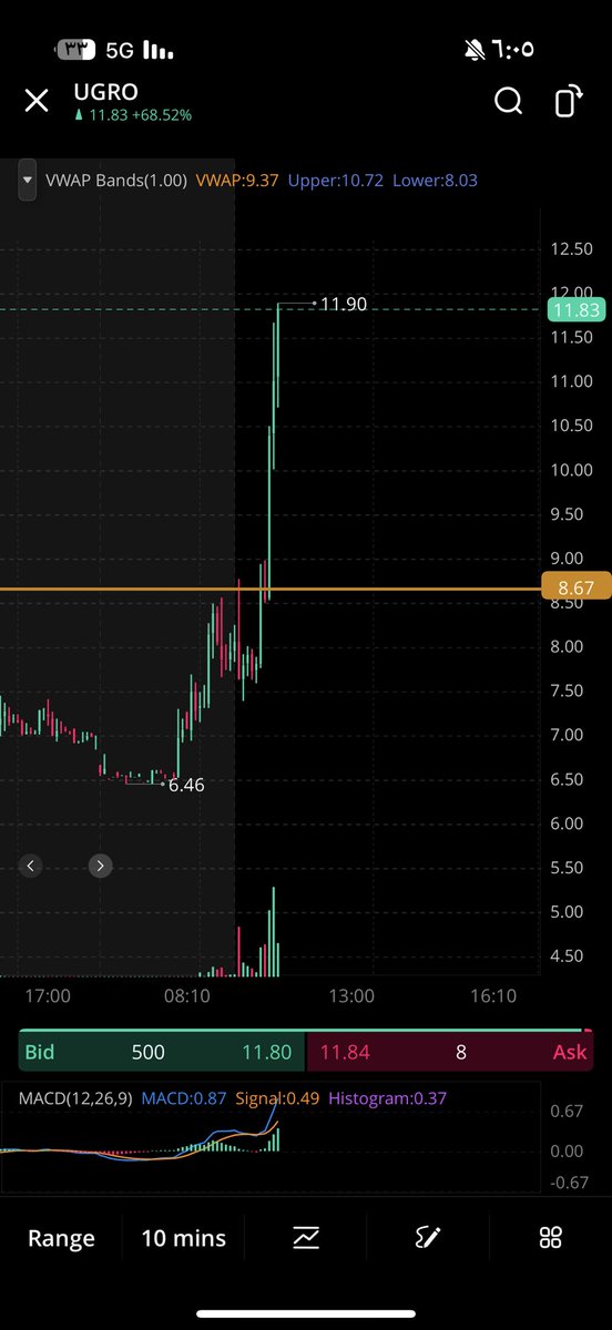 JALWE TRADER tweet media