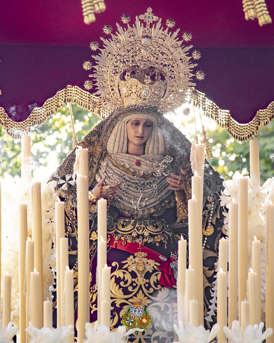 El Consuelo tweet media