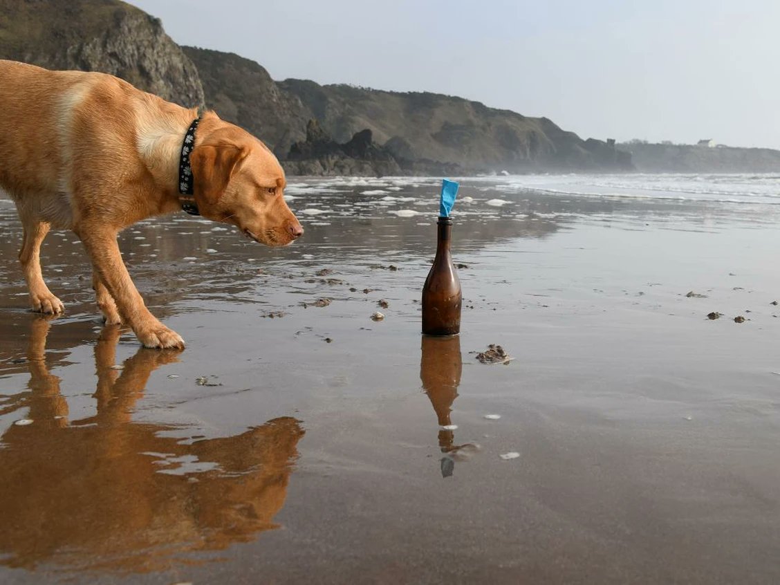 PEIGuardian's tweet image. A New Brunswick woman says she never dreamt that when she tossed a bottle in the waters off P.E.I. in 2024, it would one day become an international story.

#messageinabottle #pei #scotland 

Read more ⬇️
saltwire.com/prince-edward-…