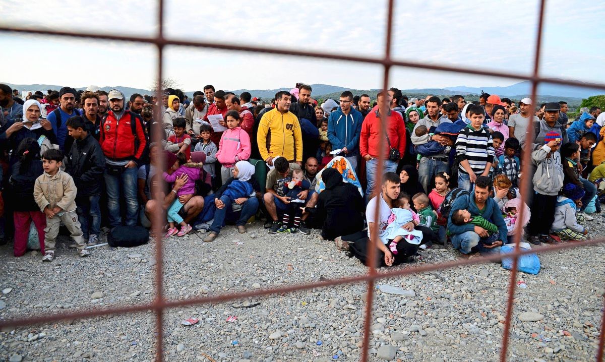 IOM Europe and Central Asia tweet media