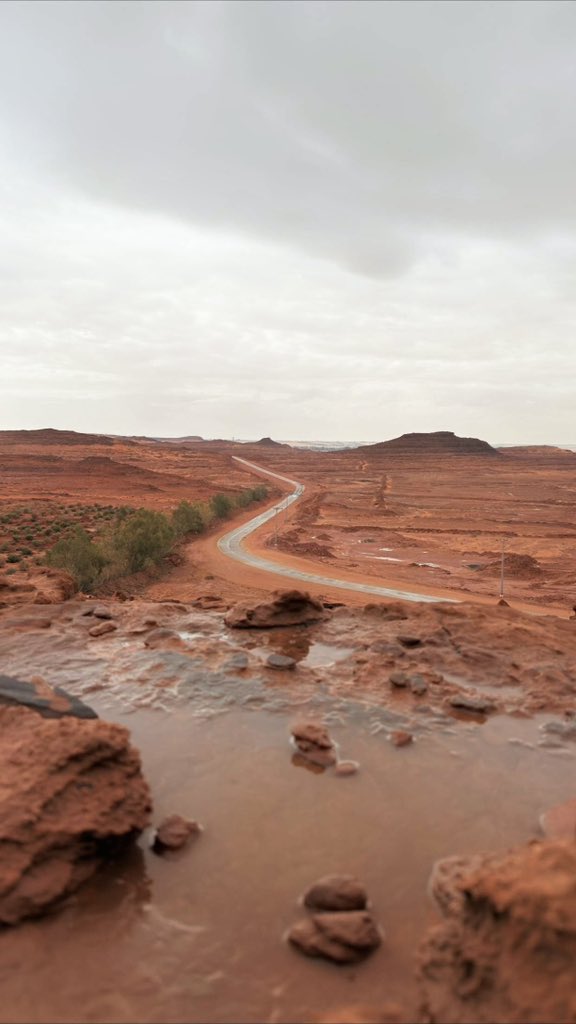 تركي بن بندر الشمري tweet media