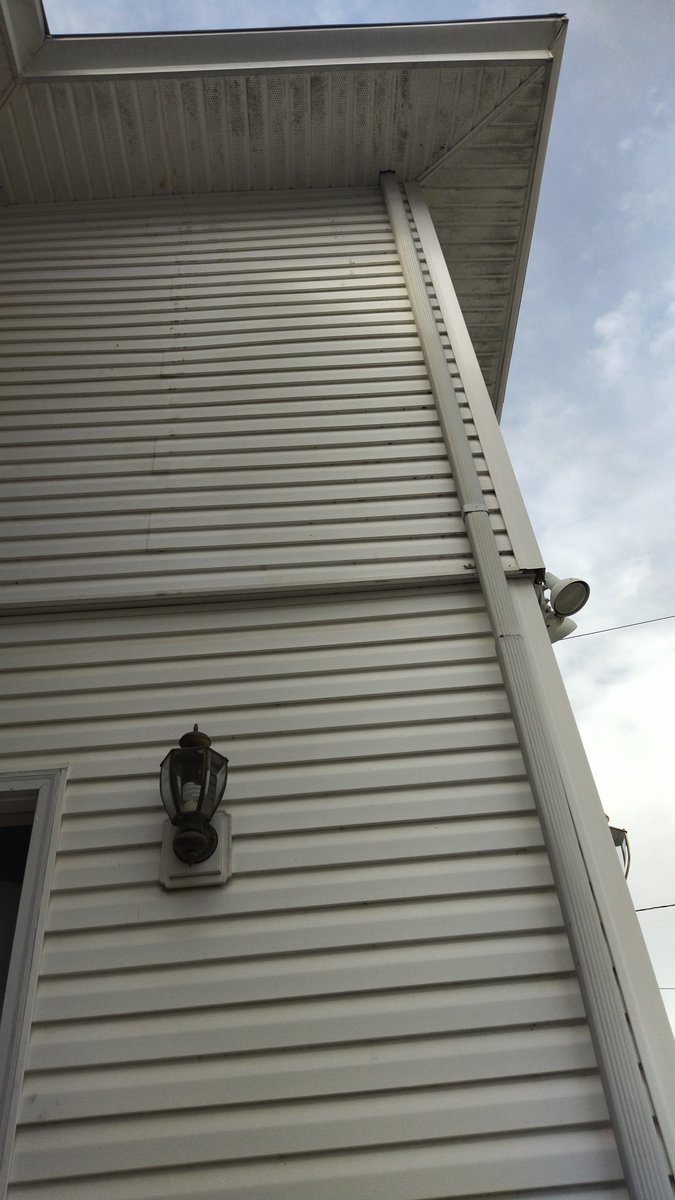 Shari好起点英语 tweet media