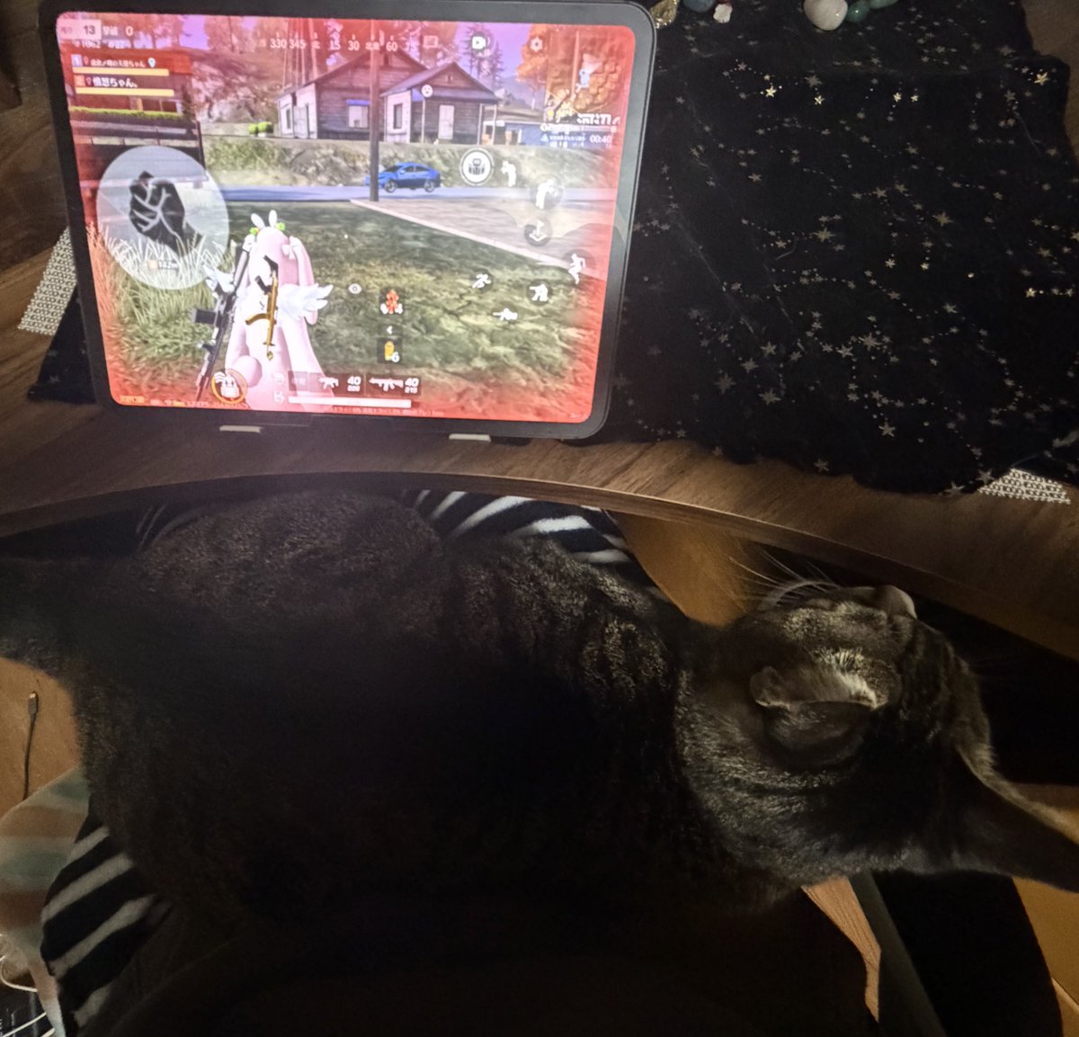 うわてん.。@本気@限限 tweet media