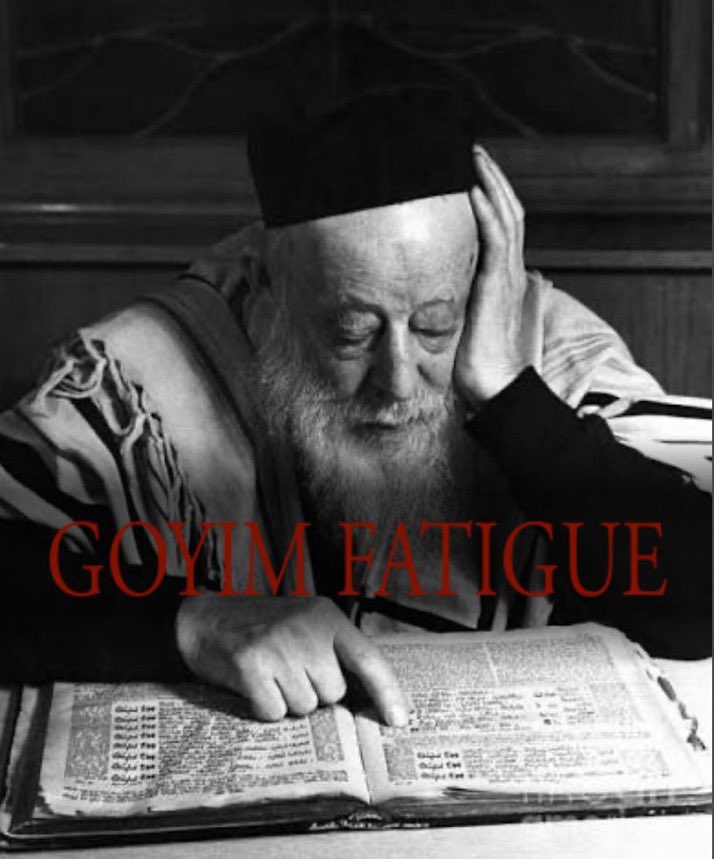 ⩩ 𝐑𝐞𝐱 ⩩ tweet media