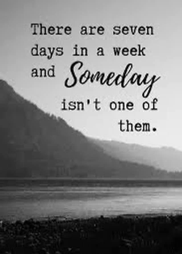 Trace Marl tweet media