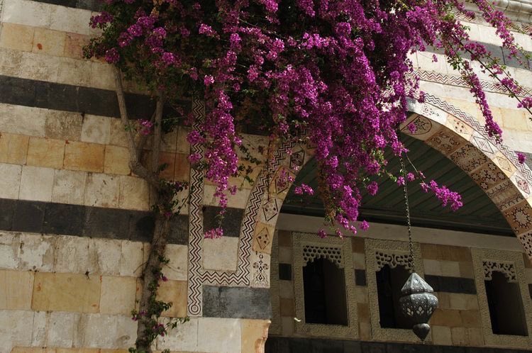 Syrian vibes tweet media